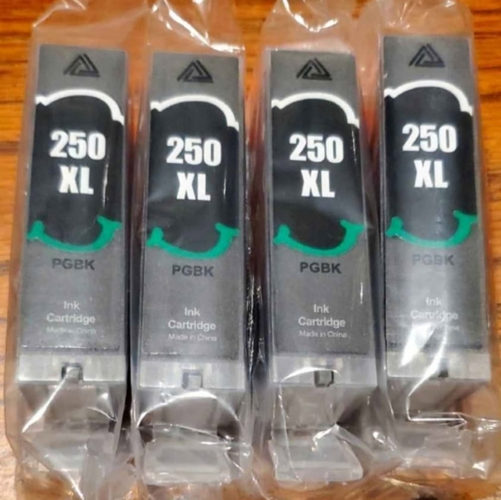250 XL Black Printer Ink